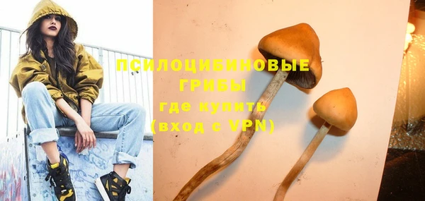 ПСИЛОЦИБИНОВЫЕ ГРИБЫ Зеленокумск