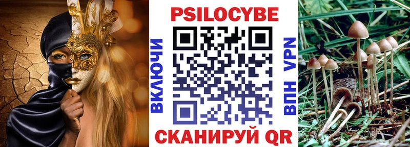 Галлюциногенные грибы мицелий  Купить  Стерлитамак 